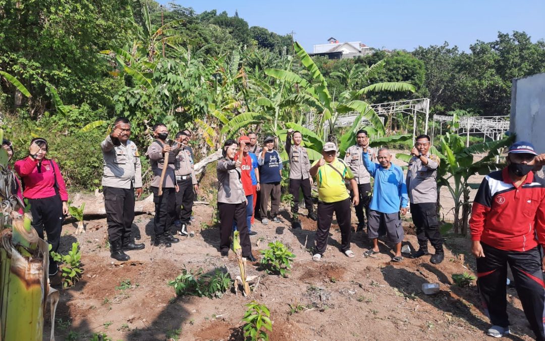 Kurangi Pemanasan Global  Forkopimcam Ngaliyan Tanam Pohon Di Karonsih Timur Semarang