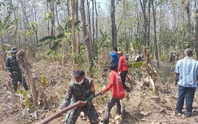 TNI Polri Bekerjasama Padamkan Api, Lahan Perhutani 2 Hektar Terbakar