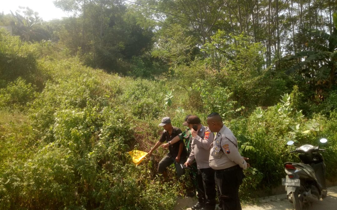 Bayi Laki-Laki Ditemukan Terbungkus Kantong di Semak-semak Sendang Guwo, Polsek Tembalang Update Perkembangan