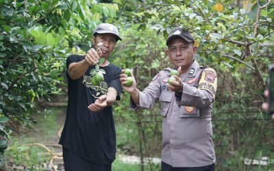 Bhabinkamtibmas Banyumanik Dorong Ketahanan Pangan Lewat Program Pekarangan Lestari