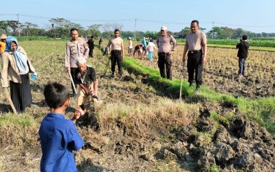 Polres Grobogan Turun Sawah Basmi Tikus, Bukti Komitmen Jaga Ketahanan Pangan